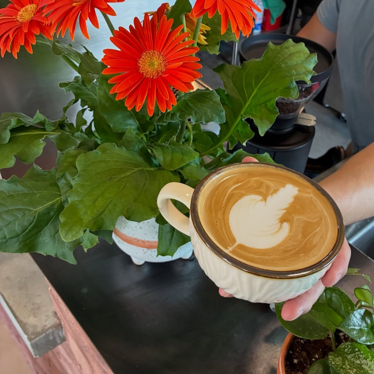 A latte with feather art, poured fresh at Love Coffee Roasters